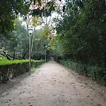 Bed & Breakfast Varanda De Coimbra