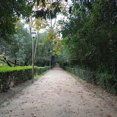 住宿加早餐酒店 Varanda De Coimbra