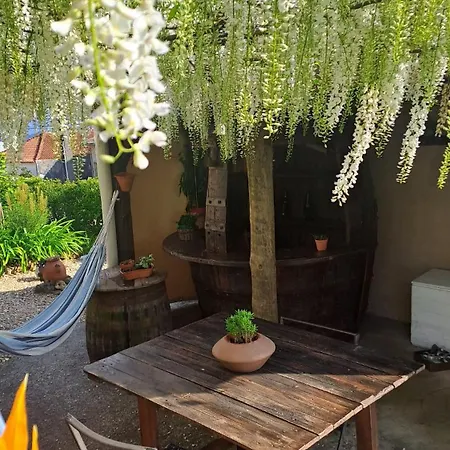 Bed & Breakfast Varanda De Coimbra Penacova