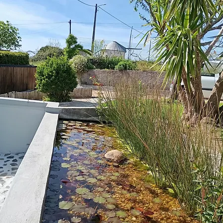 Bed & Breakfast Varanda De Coimbra Penacova