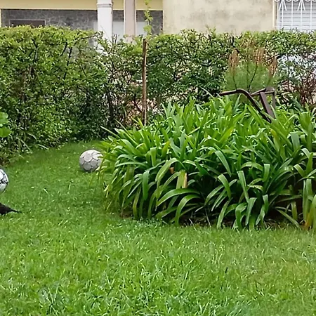 Bed & Breakfast Varanda De Coimbra 3*