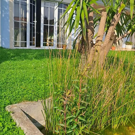 Varanda De Coimbra Bed and breakfast 3*
