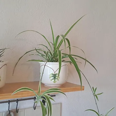 Varanda De Coimbra Nocleg ze śniadaniem 3*