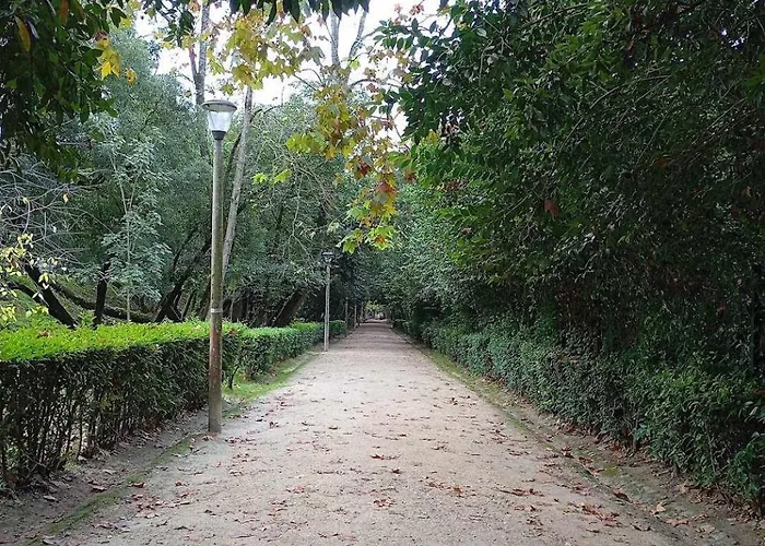 Nocleg ze śniadaniem Varanda De Coimbra