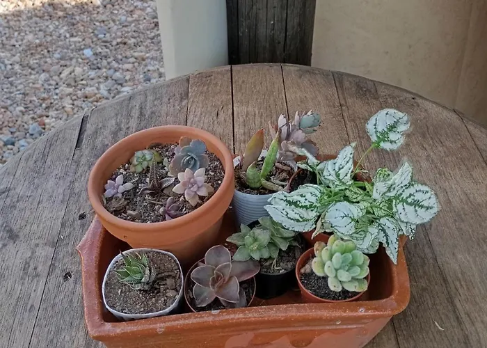 Varanda De Coimbra Nocleg ze śniadaniem 3*