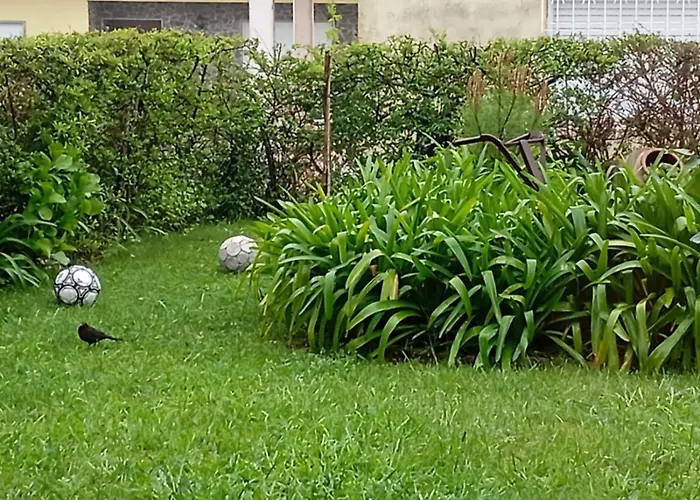 Nocleg ze śniadaniem Varanda De Coimbra 3*