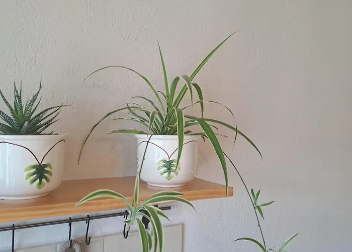 Varanda De Coimbra Nocleg ze śniadaniem 3*